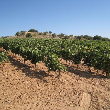 Hotel Torremilanos Aranda de Duero Esterno foto