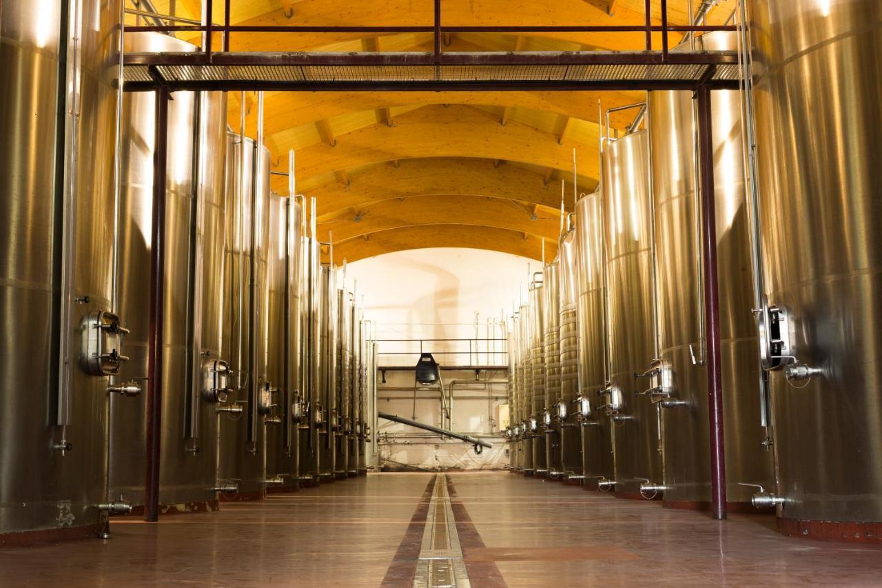 Hotel Torremilanos Aranda de Duero Esterno foto